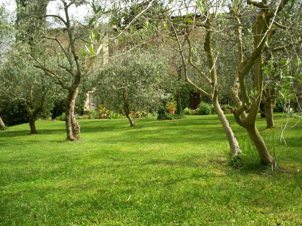 Podere Il Caggio Rooms San Gimignano Dış mekan fotoğraf